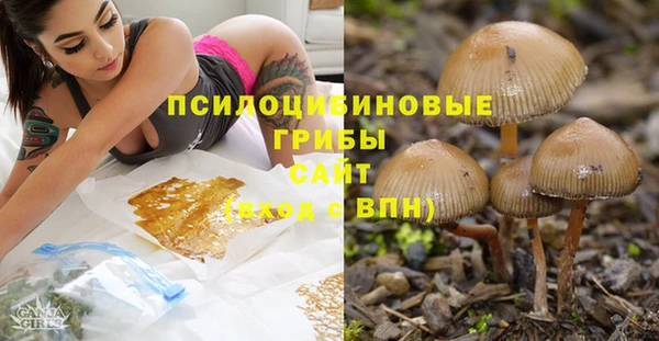 первитин Новокубанск