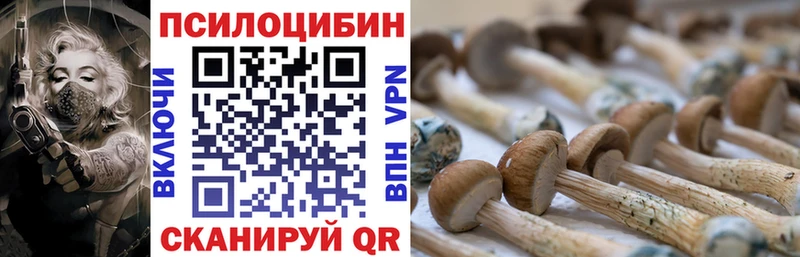 блэк спрут   как найти   Ялуторовск  Галлюциногенные грибы Magic Shrooms 